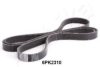 ASHIKA 112-6PK2310 V-Ribbed Belts